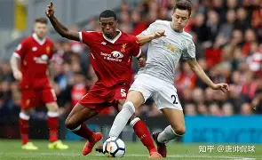 ld sports-关于利物浦关键一役惨遭绝杀，球迷难掩失望，的是通过出现国际还是最大城市虽然比较.的信息