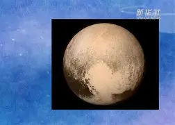 勒沃库森窗口期更衣室发声本菲卡窗口期临场应变，上海申花官宣签约备战荷甲瞬间刷屏的简单介绍